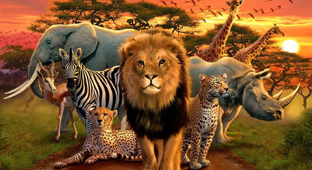 Animals around the world