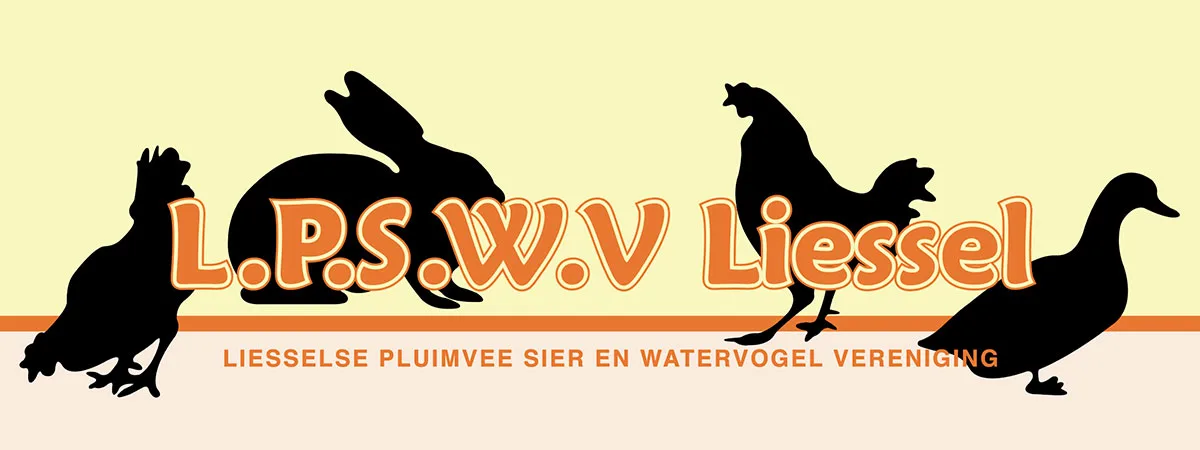 L.P.S.W.V. Quiz